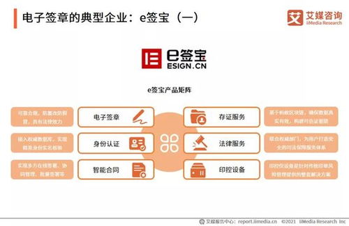 2021年中國(guó)企業(yè)數(shù)字化發(fā)展研究報(bào)告 網(wǎng)絡(luò)技術(shù)服務(wù)的前景與挑戰(zhàn)